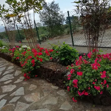 Holiday home Casa Heydi *